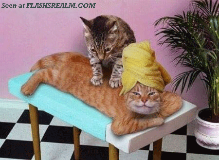 cat_claws_feel_goood.gif