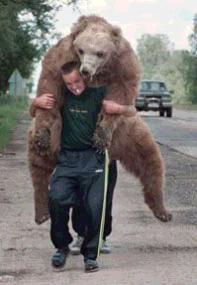 hornybear.jpg