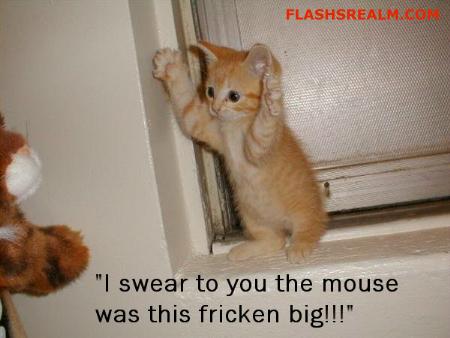 pambigmouse.jpg