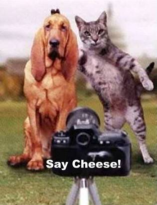 saycheese.jpg